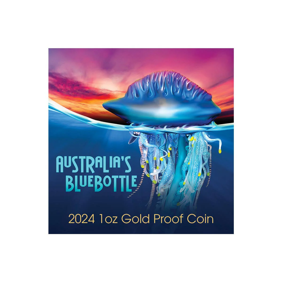 Deadly & Dangerous 2024 $100 Bluebottle Jellyfish 1oz Gold Proof Coin - Image 5