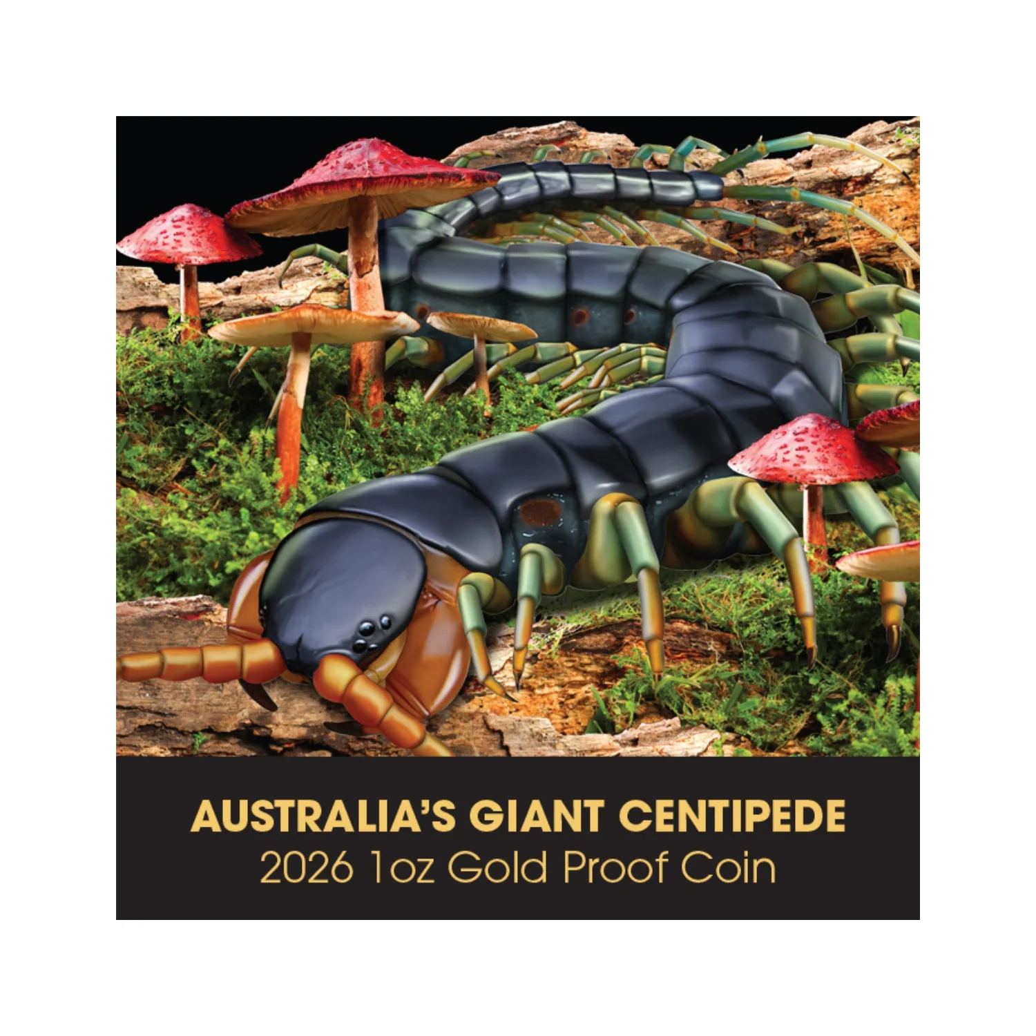 Deadly & Dangerous 2026 $100 Giant Centipede 1oz Gold Proof Coin - Image 5