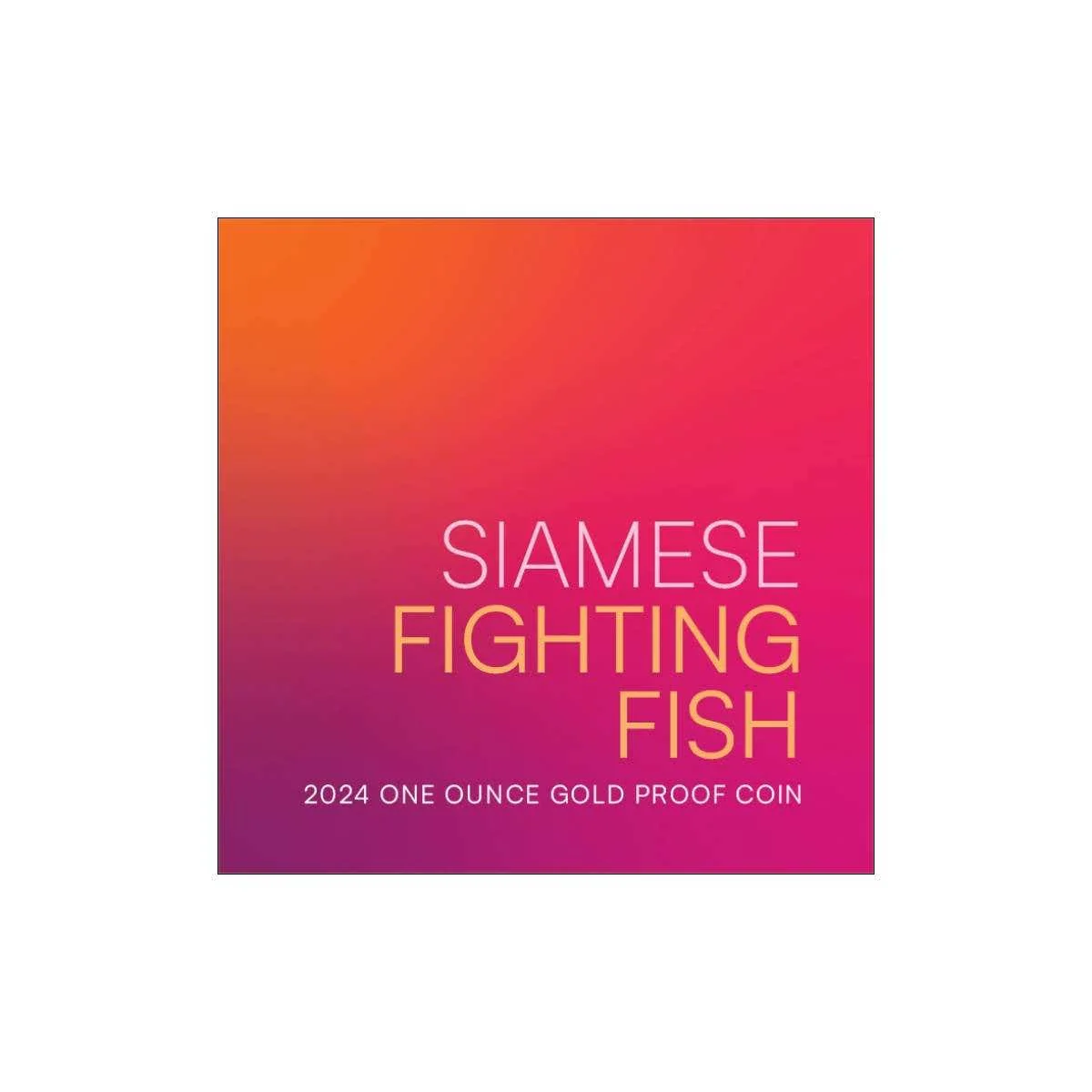 Siamese Fighting Fish 2024 $100 1oz Gold Proof Coin - Image 5