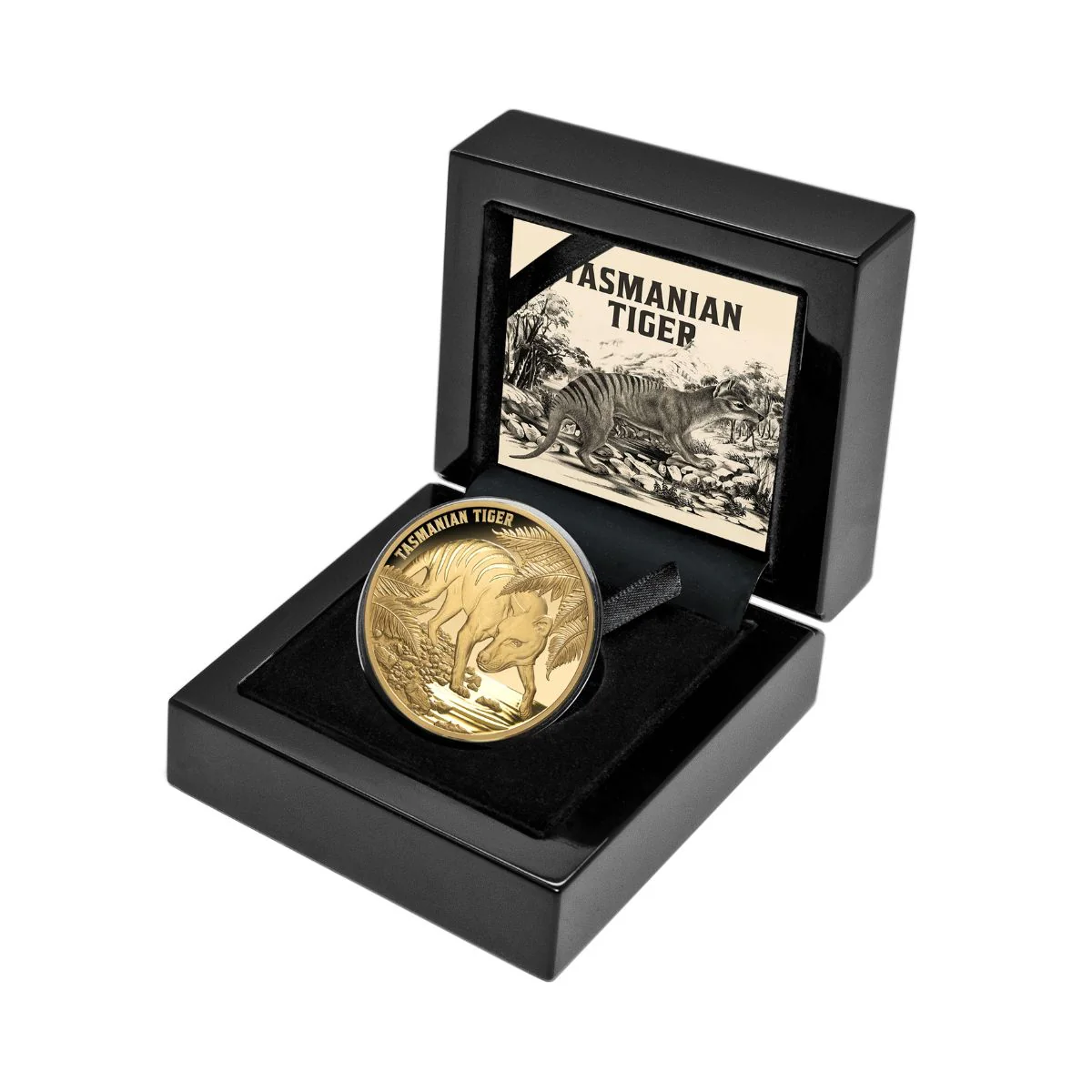 Tasmanian Tiger 2026 $100 1oz Gold Proof Coin - Image 3